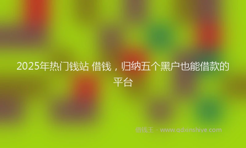 2025年热门钱站 借钱，归纳五个黑户也能借款的平台