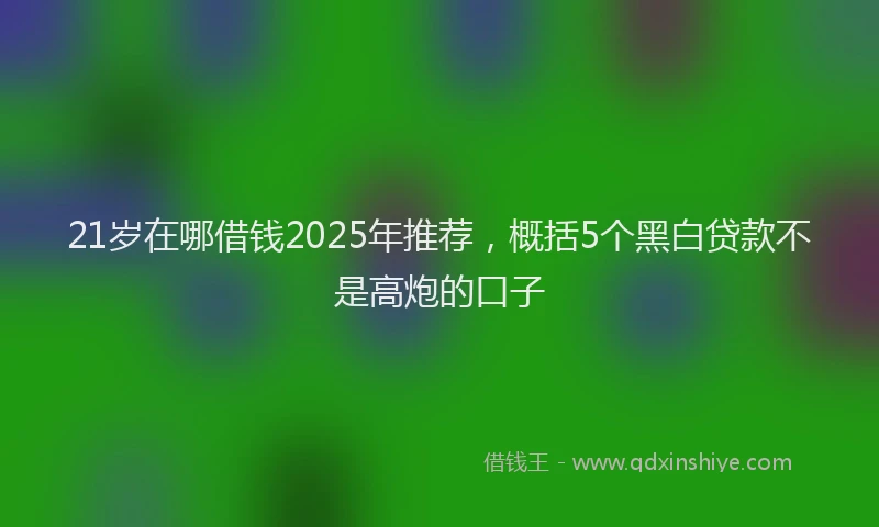 21岁在哪借钱2025年推荐，概括5个黑白贷款不是高炮的口子