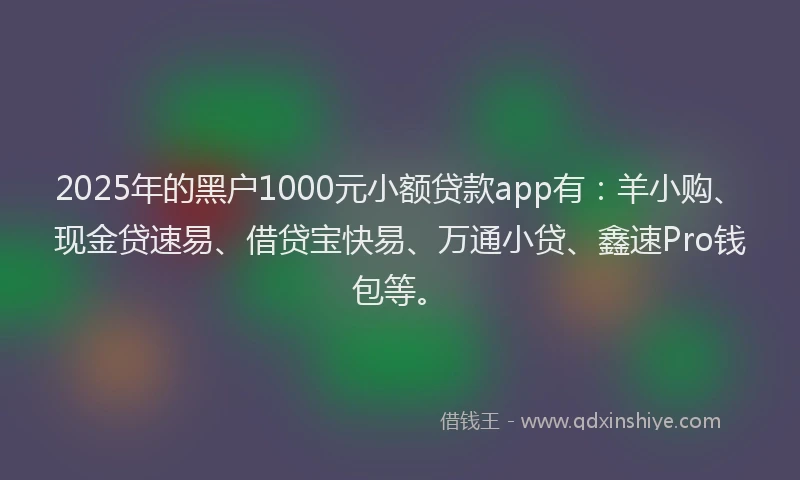 2025年的黑户1000元小额贷款app有：羊小购、现金贷速易、借贷宝快易、万通小贷、鑫速Pro钱包等。