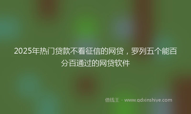 2025年热门贷款不看征信的网贷，罗列五个能百分百通过的网贷软件