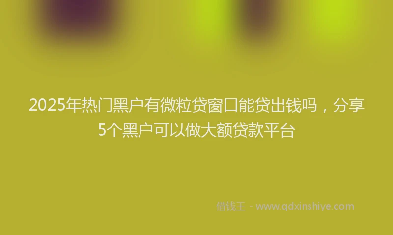 2025年热门黑户有微粒贷窗口能贷出钱吗，分享5个黑户可以做大额贷款平台