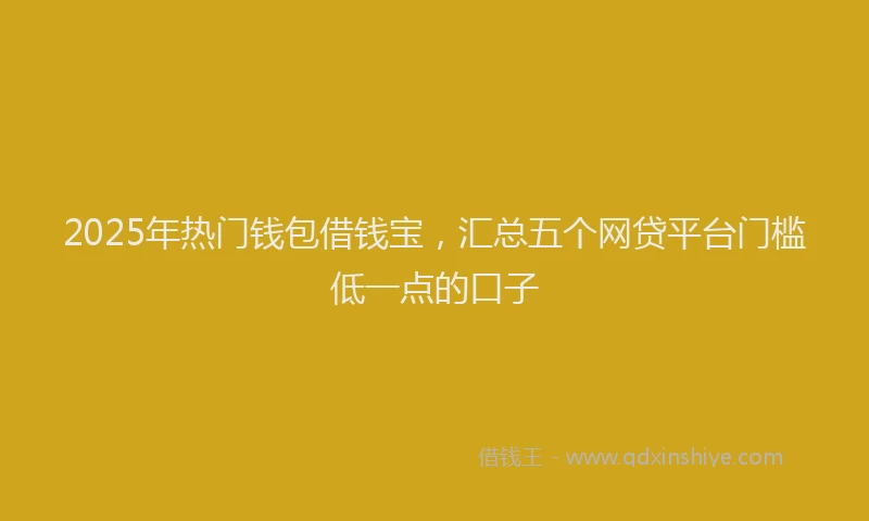 2025年热门钱包借钱宝，汇总五个网贷平台门槛低一点的口子