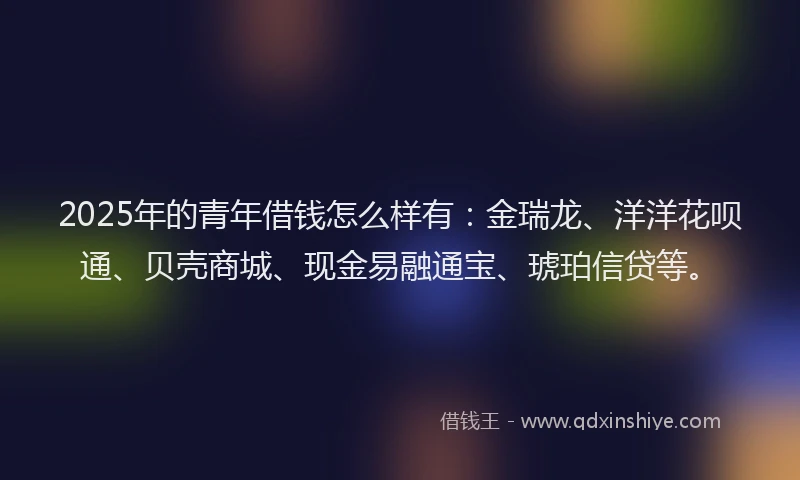 2025年的青年借钱怎么样有：金瑞龙、洋洋花呗通、贝壳商城、现金易融通宝、琥珀信贷等。