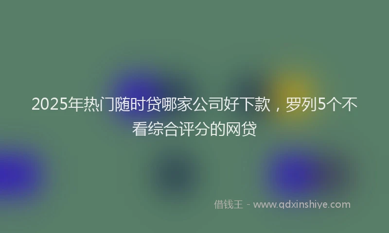 2025年热门随时贷哪家公司好下款，罗列5个不看综合评分的网贷