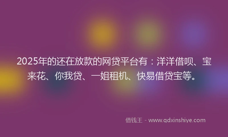 2025年的还在放款的网贷平台有：洋洋借呗、宝来花、你我贷、一姐租机、快易借贷宝等。