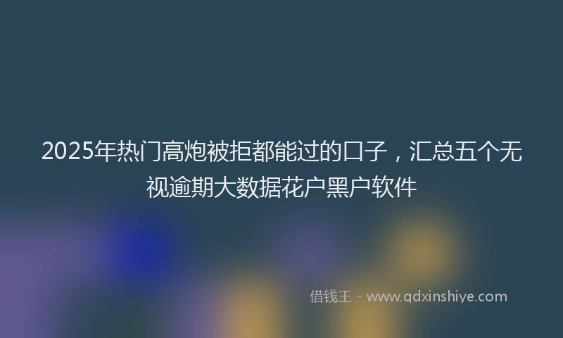 2025年热门高炮被拒都能过的口子，汇总五个无视逾期大数据花户黑户软件