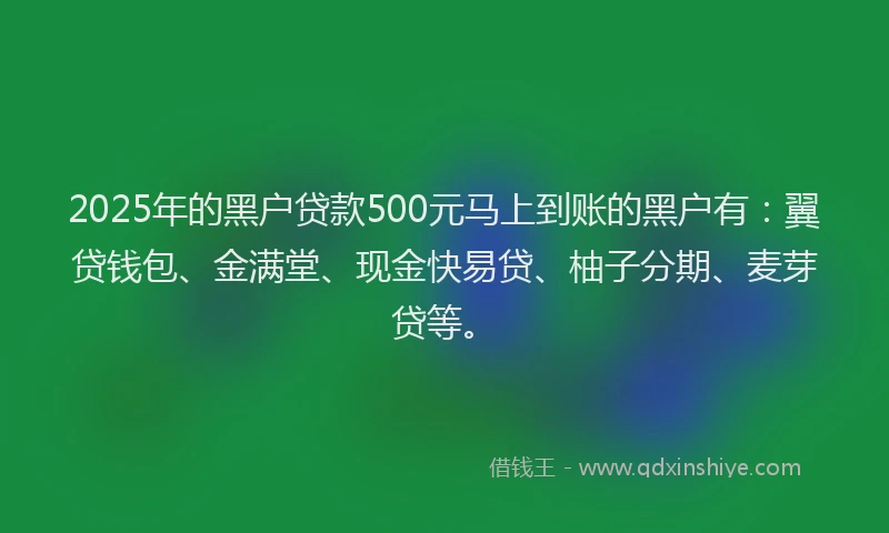 2025年的黑户贷款500元马上到账的黑户有：翼贷钱包、金满堂、现金快易贷、柚子分期、麦芽贷等。
