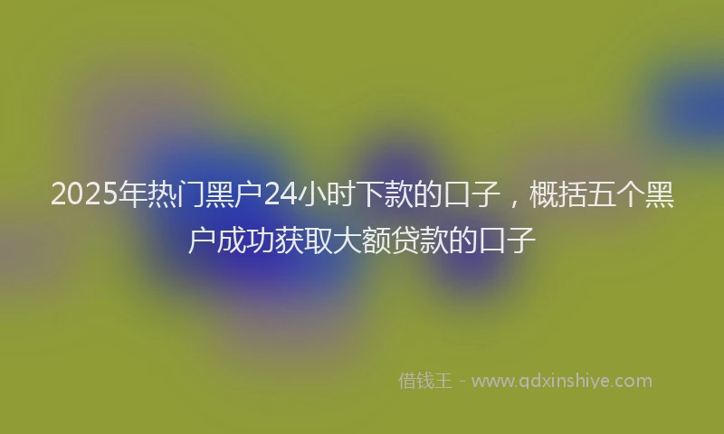 2025年热门黑户24小时下款的口子，概括五个黑户成功获取大额贷款的口子