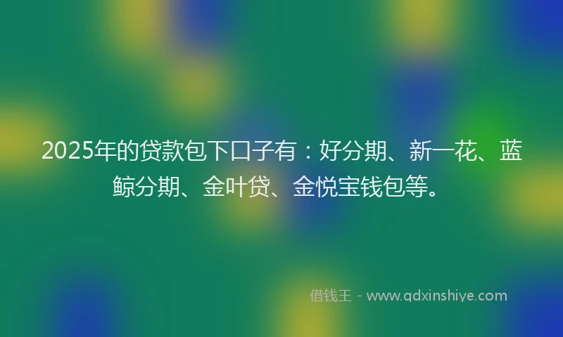 2025年的贷款包下口子有：好分期、新一花、蓝鲸分期、金叶贷、金悦宝钱包等。