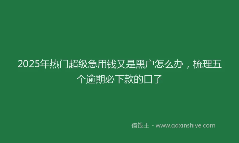 2025年热门超级急用钱又是黑户怎么办，梳理五个逾期必下款的口子