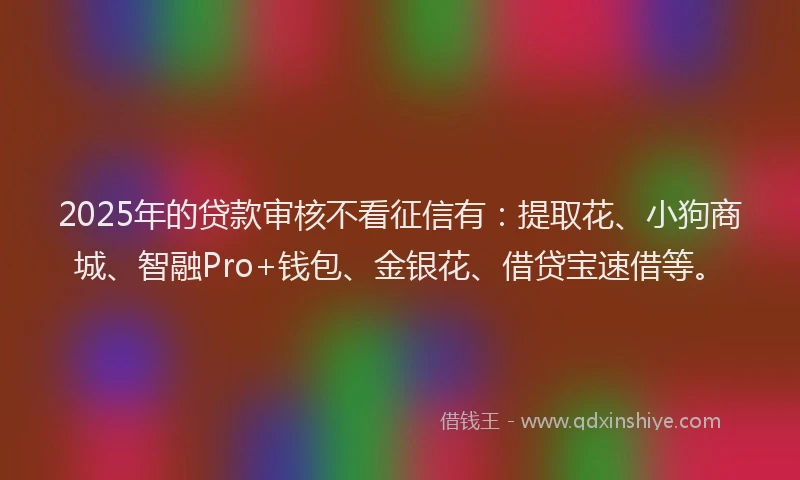 2025年的贷款审核不看征信有：提取花、小狗商城、智融Pro+钱包、金银花、借贷宝速借等。