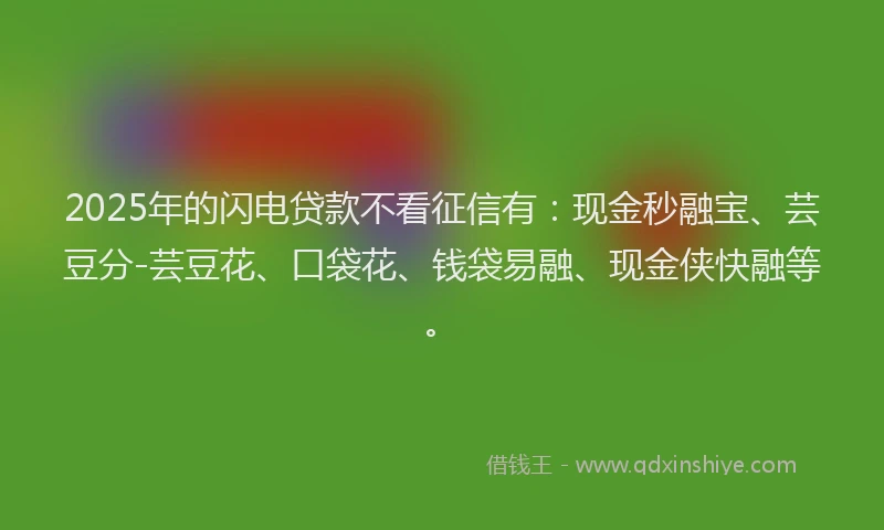 2025年的闪电贷款不看征信有：现金秒融宝、芸豆分-芸豆花、口袋花、钱袋易融、现金侠快融等。