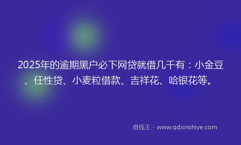 2025年的逾期黑户必下网贷就借几千有：小金豆、任性贷、小麦粒借款、吉祥花、哈银花等。
