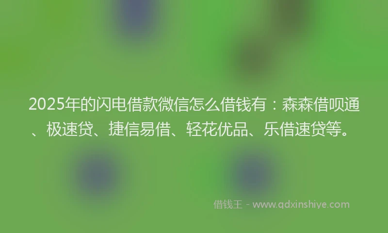 2025年的闪电借款微信怎么借钱有：森森借呗通、极速贷、捷信易借、轻花优品、乐借速贷等。