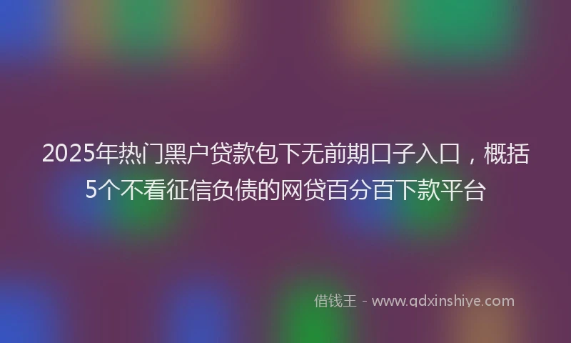 2025年热门黑户贷款包下无前期口子入口，概括5个不看征信负债的网贷百分百下款平台