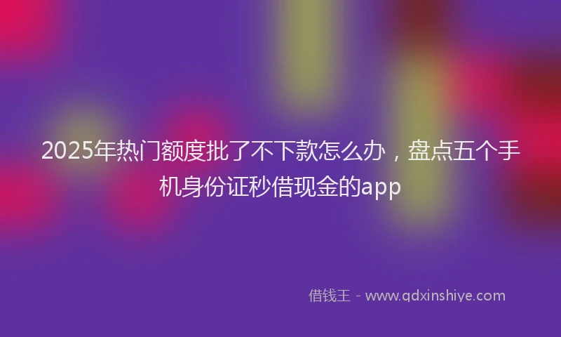 2025年热门额度批了不下款怎么办，盘点五个手机身份证秒借现金的app