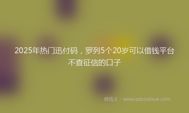 2025年热门迅付码，罗列5个20岁可以借钱平台不查征信的口子