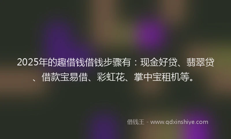 2025年的趣借钱借钱步骤有：现金好贷、翡翠贷、借款宝易借、彩虹花、掌中宝租机等。