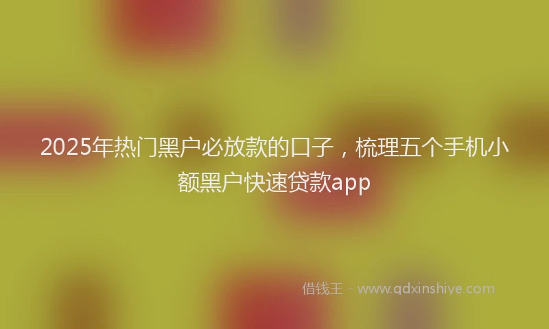 2025年热门黑户必放款的口子，梳理五个手机小额黑户快速贷款app