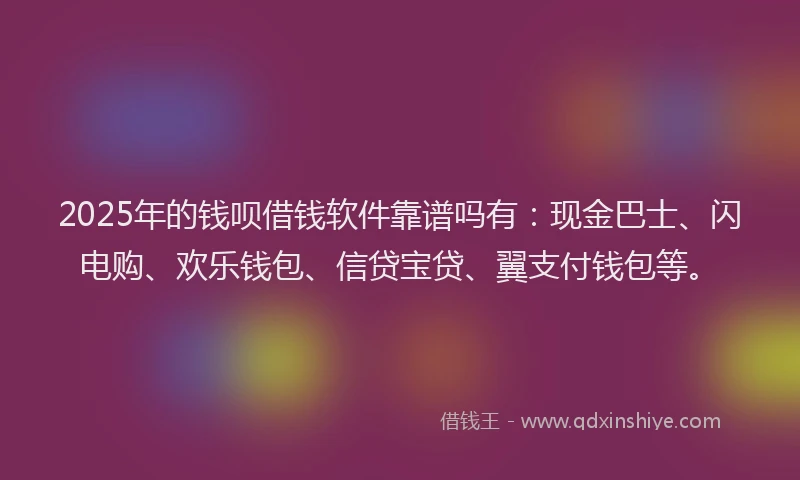 2025年的钱呗借钱软件靠谱吗有：现金巴士、闪电购、欢乐钱包、信贷宝贷、翼支付钱包等。