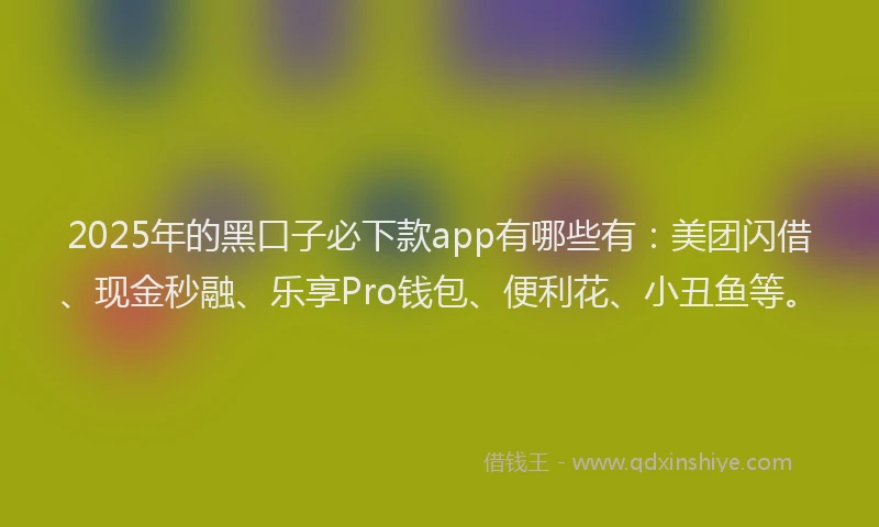2025年的黑口子必下款app有哪些有：美团闪借、现金秒融、乐享Pro钱包、便利花、小丑鱼等。