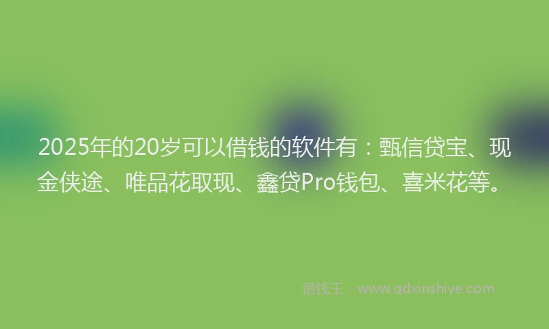 2025年的20岁可以借钱的软件有：甄信贷宝、现金侠途、唯品花取现、鑫贷Pro钱包、喜米花等。