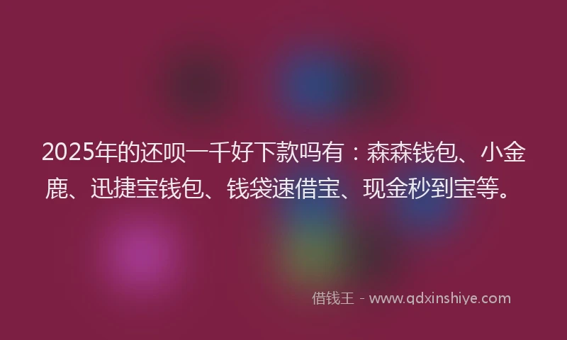 2025年的还呗一千好下款吗有：森森钱包、小金鹿、迅捷宝钱包、钱袋速借宝、现金秒到宝等。