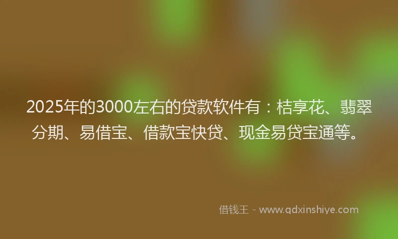 2025年的3000左右的贷款软件有：桔享花、翡翠分期、易借宝、借款宝快贷、现金易贷宝通等。