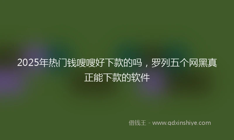 2025年热门钱嗖嗖好下款的吗，罗列五个网黑真正能下款的软件