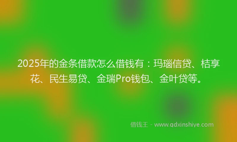 2025年的金条借款怎么借钱有：玛瑙信贷、桔享花、民生易贷、金瑞Pro钱包、金叶贷等。