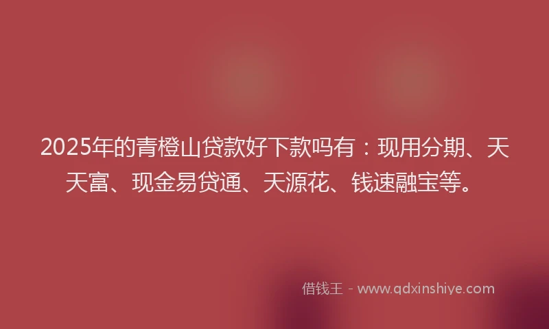 2025年的青橙山贷款好下款吗有：现用分期、天天富、现金易贷通、天源花、钱速融宝等。