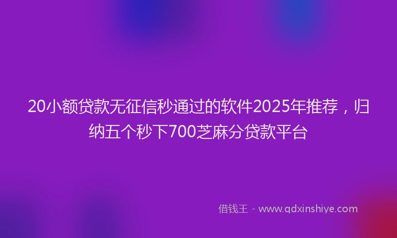 20小额贷款无征信秒通过的软件2025年推荐，归纳五个秒下700芝麻分贷款平台