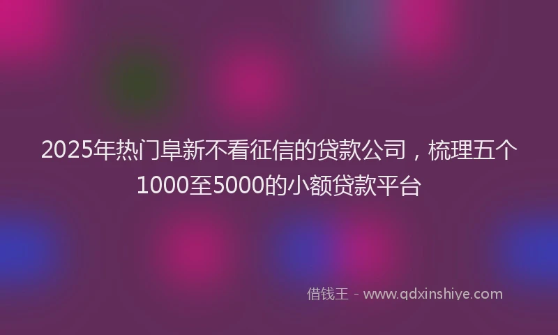 2025年热门阜新不看征信的贷款公司，梳理五个1000至5000的小额贷款平台