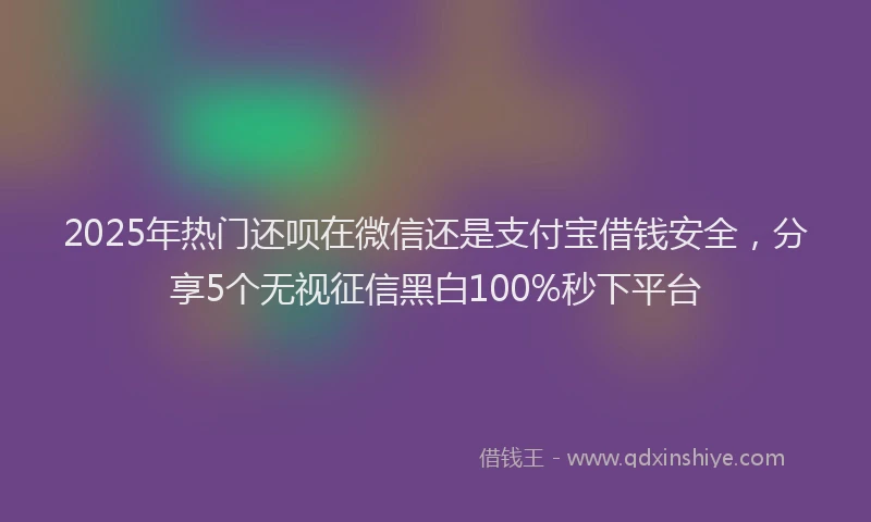 2025年热门还呗在微信还是支付宝借钱安全，分享5个无视征信黑白100%秒下平台