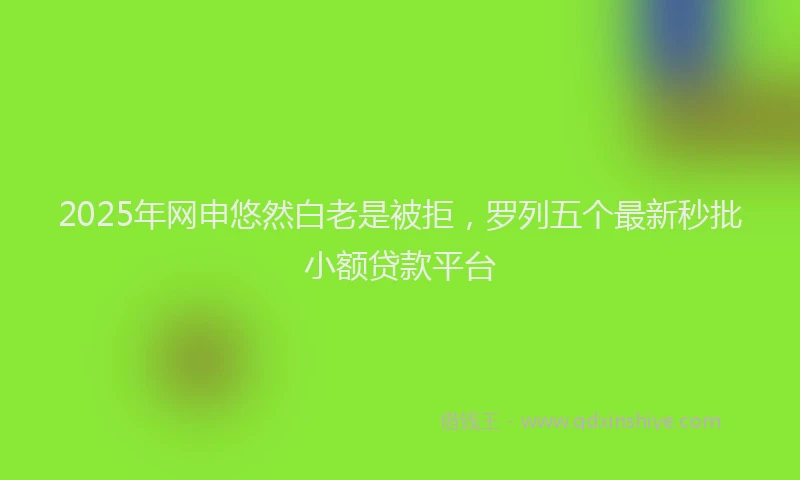 2025年网申悠然白老是被拒，罗列五个最新秒批小额贷款平台