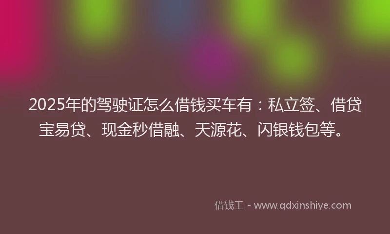 2025年的驾驶证怎么借钱买车有：私立签、借贷宝易贷、现金秒借融、天源花、闪银钱包等。