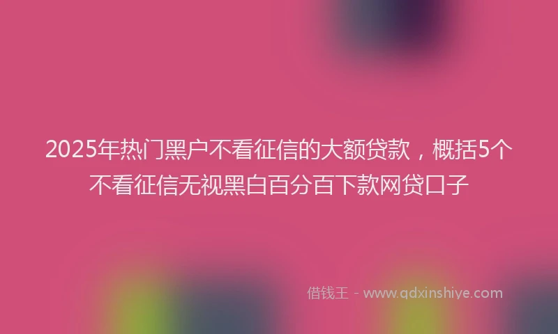 2025年热门黑户不看征信的大额贷款，概括5个不看征信无视黑白百分百下款网贷口子