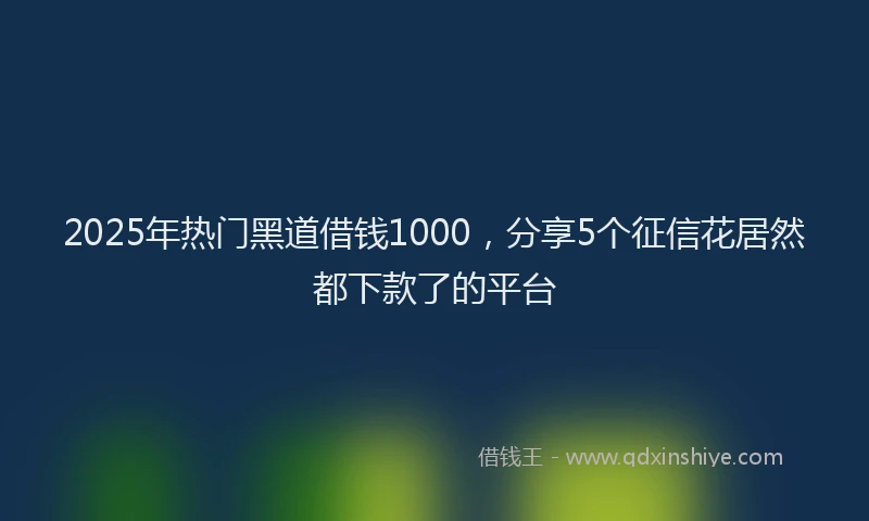 2025年热门黑道借钱1000，分享5个征信花居然都下款了的平台