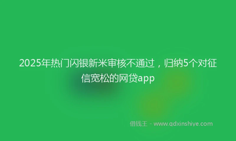 2025年热门闪银新米审核不通过，归纳5个对征信宽松的网贷app