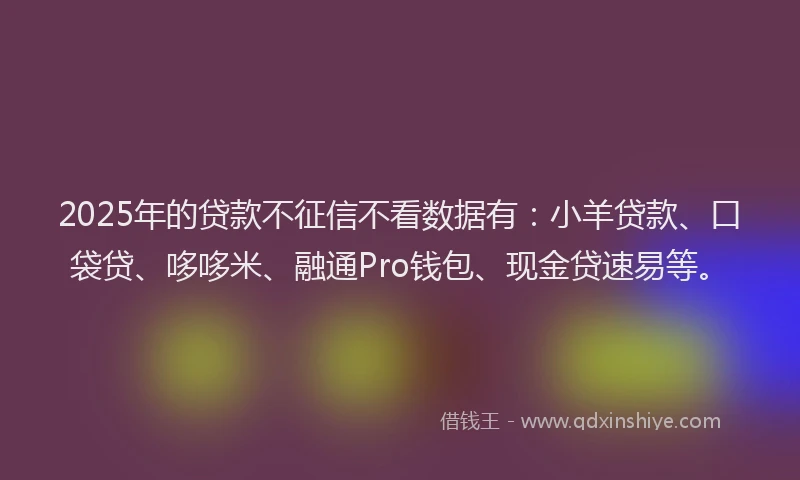 2025年的贷款不征信不看数据有：小羊贷款、口袋贷、哆哆米、融通Pro钱包、现金贷速易等。