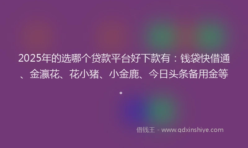 2025年的选哪个贷款平台好下款有：钱袋快借通、金瀛花、花小猪、小金鹿、今日头条备用金等。