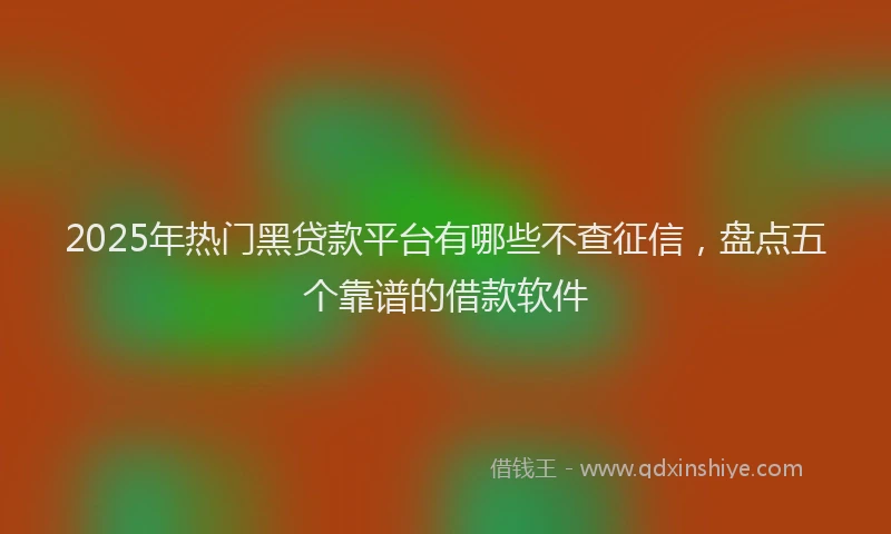 2025年热门黑贷款平台有哪些不查征信，盘点五个靠谱的借款软件