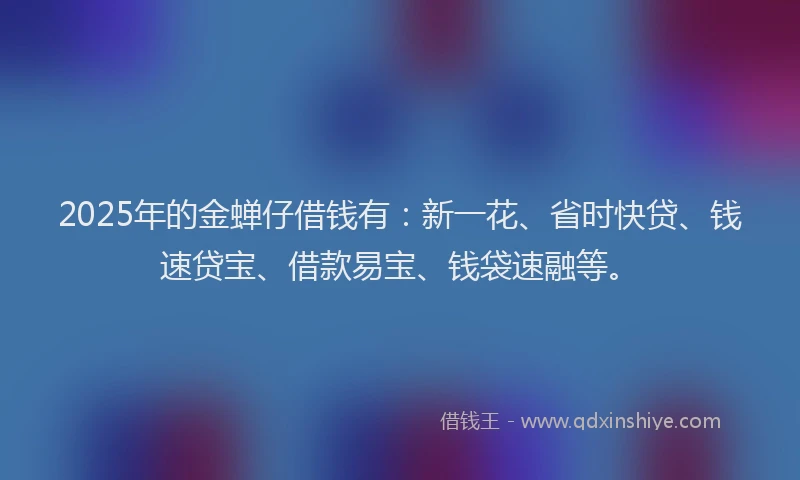 2025年的金蝉仔借钱有：新一花、省时快贷、钱速贷宝、借款易宝、钱袋速融等。
