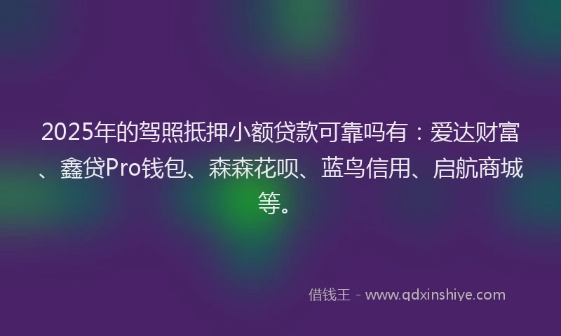 2025年的驾照抵押小额贷款可靠吗有：爱达财富、鑫贷Pro钱包、森森花呗、蓝鸟信用、启航商城等。