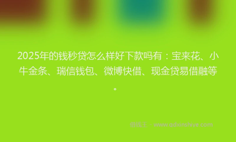2025年的钱秒贷怎么样好下款吗有：宝来花、小牛金条、瑞信钱包、微博快借、现金贷易借融等。
