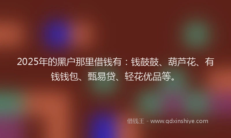 2025年的黑户那里借钱有：钱鼓鼓、葫芦花、有钱钱包、甄易贷、轻花优品等。