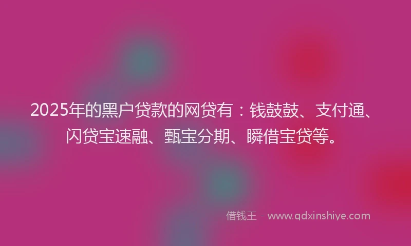 2025年的黑户贷款的网贷有：钱鼓鼓、支付通、闪贷宝速融、甄宝分期、瞬借宝贷等。