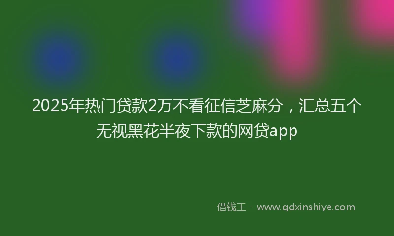 2025年热门贷款2万不看征信芝麻分，汇总五个无视黑花半夜下款的网贷app