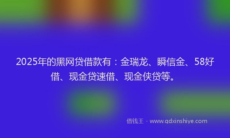 2025年的黑网贷借款有：金瑞龙、瞬信金、58好借、现金贷速借、现金侠贷等。