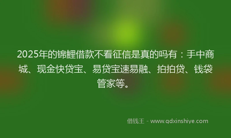 2025年的锦鲤借款不看征信是真的吗有：手中商城、现金快贷宝、易贷宝速易融、拍拍贷、钱袋管家等。